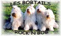 Rock'n Bob